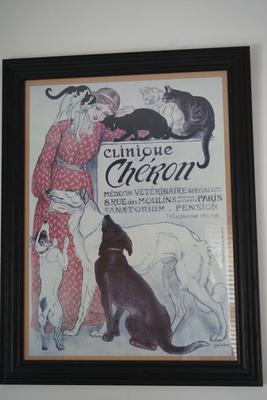VINTAGE REPRODUCTION FRAMED FRENCH POSTER ADVERTISMENT FOR VETERINARY SPECIALTY CLINIC