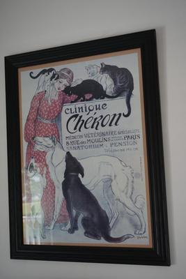VINTAGE REPRODUCTION FRAMED FRENCH POSTER ADVERTISMENT FOR VETERINARY SPECIALTY CLINIC