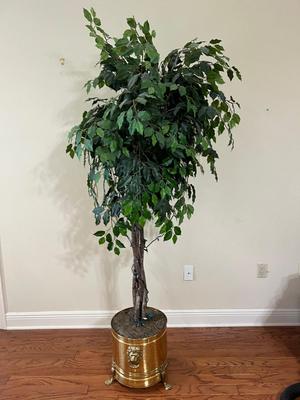 Over 6 1/2 Feet Tall Tree & Vintage Brass Footed Planter