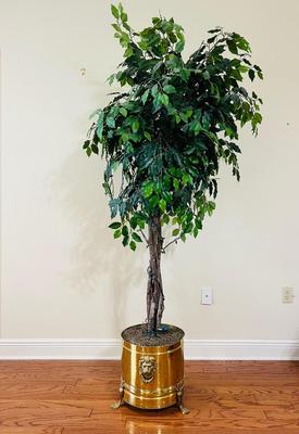 Over 6 1/2 Feet Tall Tree & Vintage Brass Footed Planter