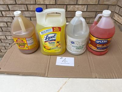 White Vinegar, Apple Cider Vinegar, Lysol & De-Icer (4)