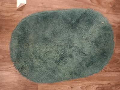 Bathing & Showering needs Bath rugs - Towels - Bath robe and an assortment of soap and shampoo's