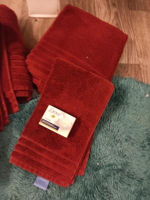 Bathing & Showering needs Bath rugs - Towels - Bath robe and an assortment of soap and shampoo's