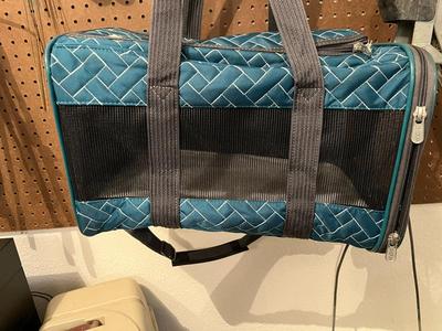 Green / Torquoise Small Pet Carrier