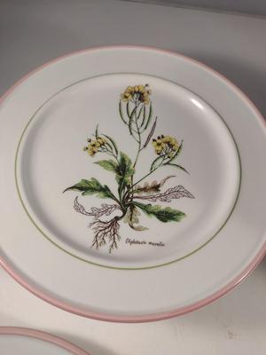 Italian Porcelain Primula Botanical Design Plates (6 Pcs) and Bowls (6 Pcs)- 3 Designs