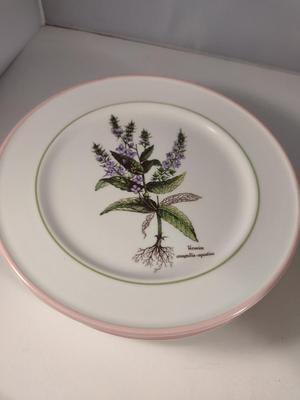 Italian Porcelain Primula Botanical Design Plates (6 Pcs) and Bowls (6 Pcs)- 3 Designs