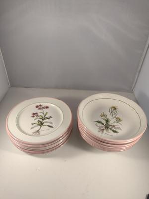 Italian Porcelain Primula Botanical Design Plates (6 Pcs) and Bowls (6 Pcs)- 3 Designs