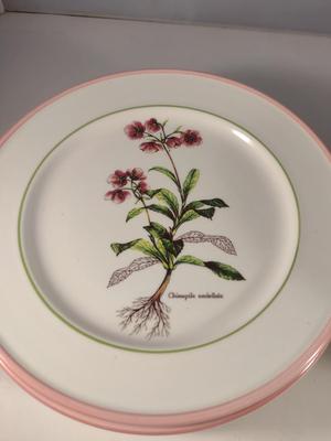 Italian Porcelain Primula Botanical Design Plates (6 Pcs) and Bowls (6 Pcs)- 3 Designs