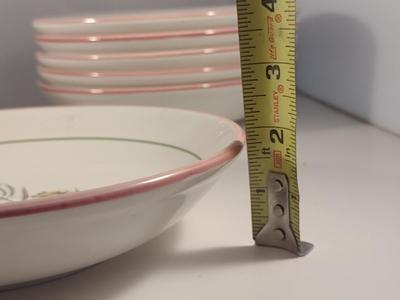 Italian Porcelain Primula Botanical Design Plates (6 Pcs) and Bowls (6 Pcs)- 3 Designs