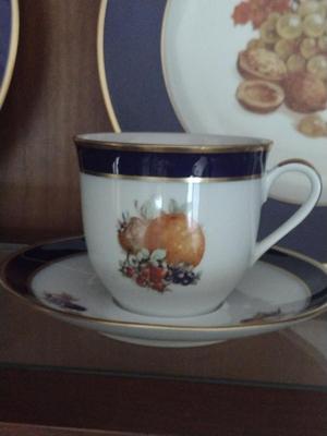 Fruit Design Dinnerware- Lamberton Scammell and Schumann Arzberg Echt Cobalt Bountiful- 18 Pieces