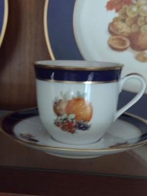Fruit Design Dinnerware- Lamberton Scammell and Schumann Arzberg Echt Cobalt Bountiful- 18 Pieces