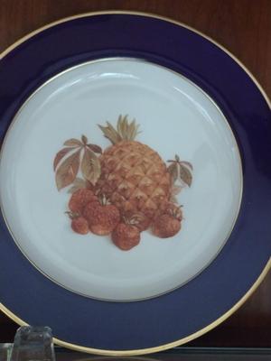 Fruit Design Dinnerware- Lamberton Scammell and Schumann Arzberg Echt Cobalt Bountiful- 18 Pieces