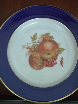Fruit Design Dinnerware- Lamberton Scammell and Schumann Arzberg Echt Cobalt Bountiful- 18 Pieces