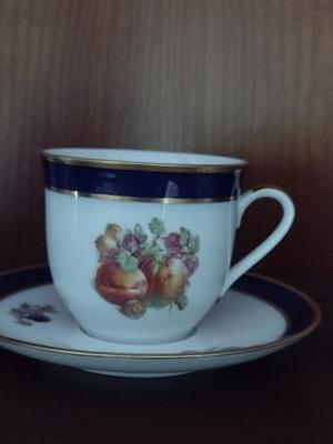 Fruit Design Dinnerware- Lamberton Scammell and Schumann Arzberg Echt Cobalt Bountiful- 18 Pieces