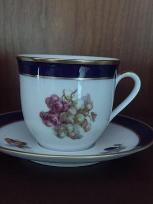 Fruit Design Dinnerware- Lamberton Scammell and Schumann Arzberg Echt Cobalt Bountiful- 18 Pieces