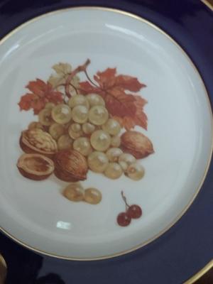 Fruit Design Dinnerware- Lamberton Scammell and Schumann Arzberg Echt Cobalt Bountiful- 18 Pieces