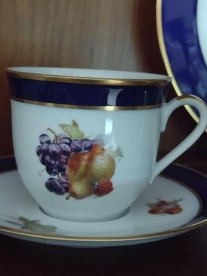 Fruit Design Dinnerware- Lamberton Scammell and Schumann Arzberg Echt Cobalt Bountiful- 18 Pieces