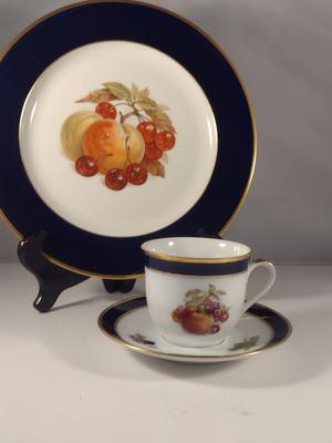 Fruit Design Dinnerware- Lamberton Scammell and Schumann Arzberg Echt Cobalt Bountiful- 18 Pieces