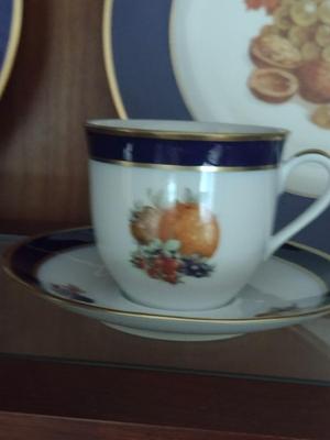 Fruit Design Dinnerware- Lamberton Scammell and Schumann Arzberg Echt Cobalt Bountiful- 18 Pieces