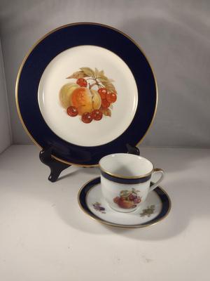 Fruit Design Dinnerware- Lamberton Scammell and Schumann Arzberg Echt Cobalt Bountiful- 18 Pieces