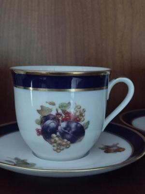 Fruit Design Dinnerware- Lamberton Scammell and Schumann Arzberg Echt Cobalt Bountiful- 18 Pieces