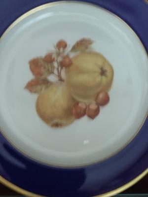 Fruit Design Dinnerware- Lamberton Scammell and Schumann Arzberg Echt Cobalt Bountiful- 18 Pieces