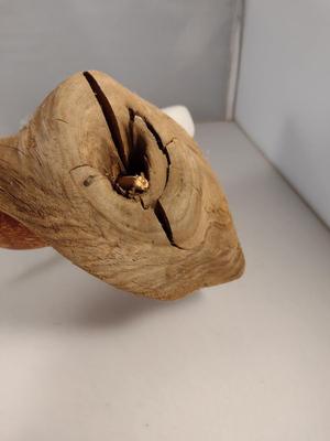 Pair of Wooden Bird Carvings