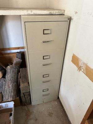 VERY CLEVER LOCKING GUN SAFE DISGUISED AS A FILING CABINET