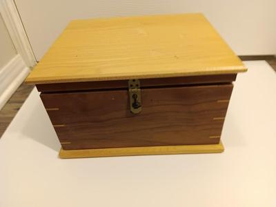 Craftsman 5" VS Random Orbit Sander in Beautiful Custom-made wooden storage box