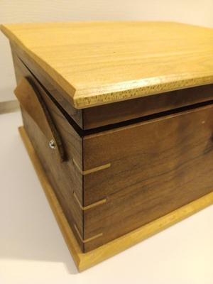 Craftsman 5" VS Random Orbit Sander in Beautiful Custom-made wooden storage box