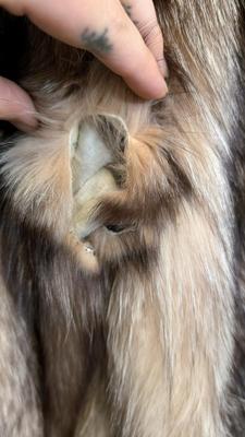 Crystal Fox Fur Coat