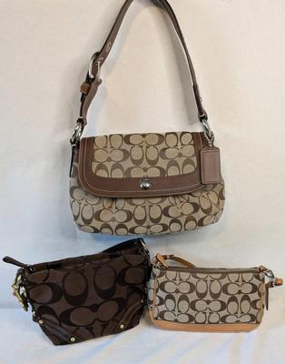 Coach Handbag Assortment
