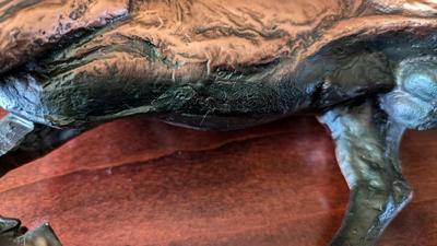 Copper Cast Spanish Bull