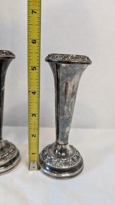Anthe Silverplate