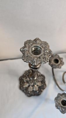 Anthe Silverplate