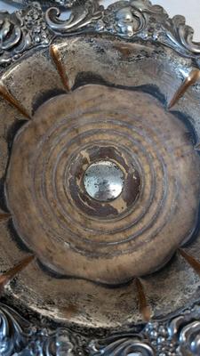 Anthe Silverplate