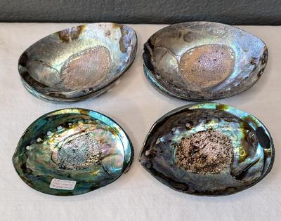 New Zealand Paua Shells