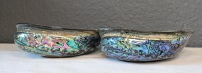 New Zealand Paua Shells