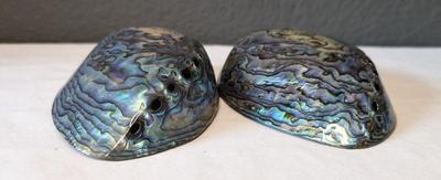 New Zealand Paua Shells