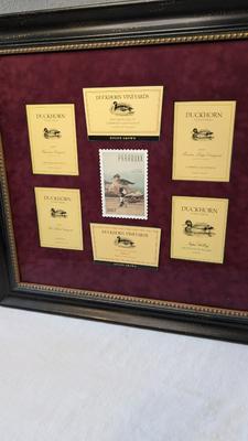 Notes From Napa Valley