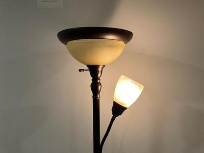 Bronze 6' Floor Lamp