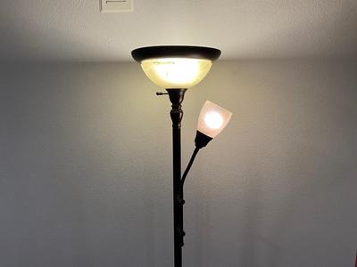 Bronze 6' Floor Lamp