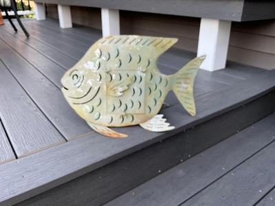 Fish latern