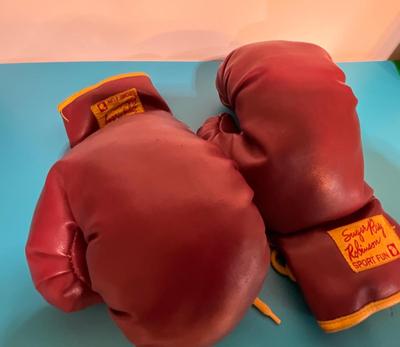 Sugar Ray Boxing Gloves Sport Fun