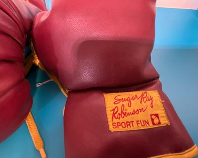 Sugar Ray Boxing Gloves Sport Fun