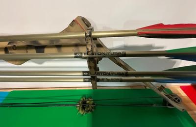 Cobra bow and arrows