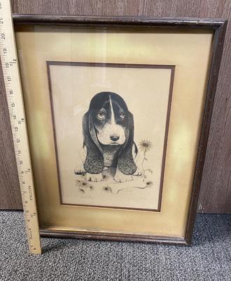 Artist Proof Framed Sketch of Basset Hound Puppy sitting in amongst daisies signed Tobion