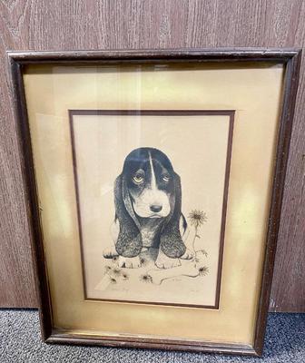 Artist Proof Framed Sketch of Basset Hound Puppy sitting in amongst daisies signed Tobion