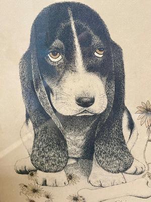 Artist Proof Framed Sketch of Basset Hound Puppy sitting in amongst daisies signed Tobion