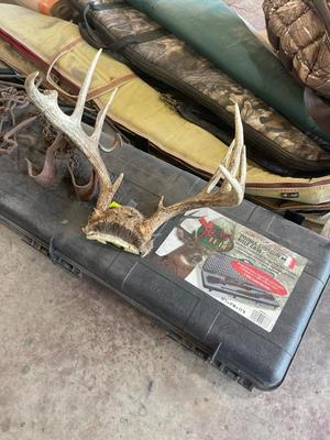 S142-Large Hunting Lot